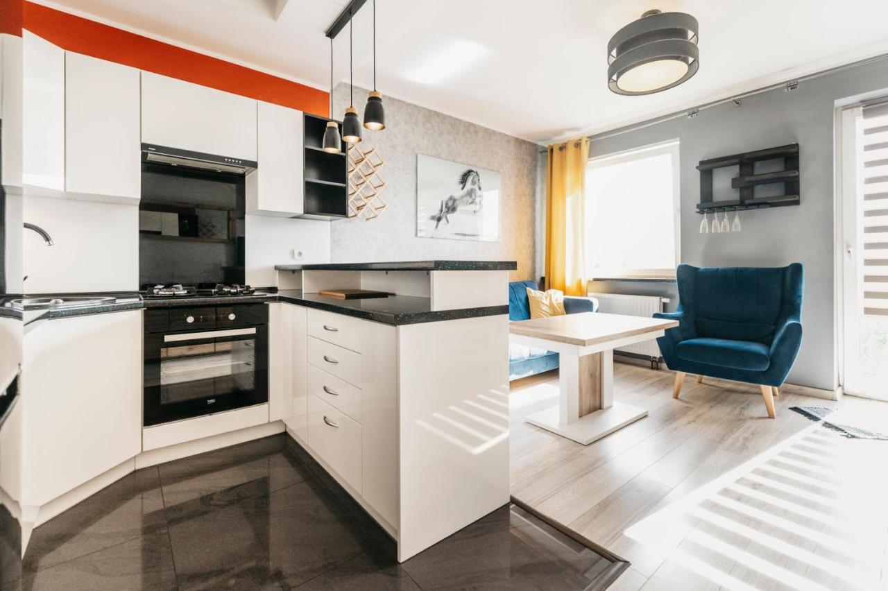 Nocosfera Apartament Stawiszynski Kaliszki 外观 照片