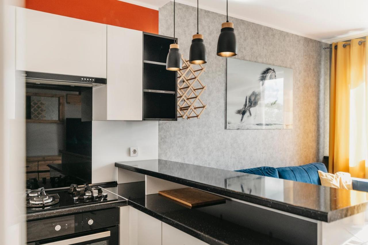 Nocosfera Apartament Stawiszynski Kaliszki 外观 照片