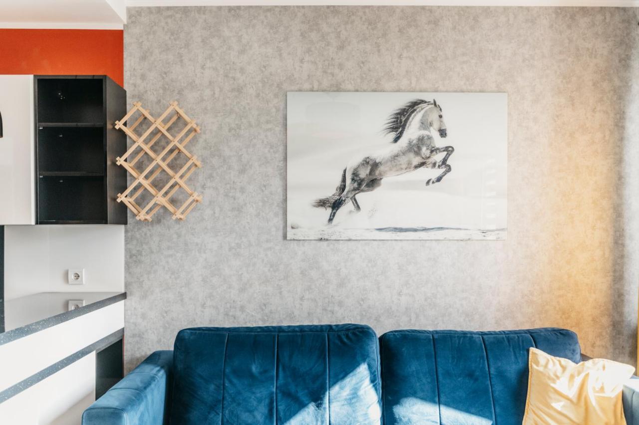 Nocosfera Apartament Stawiszynski Kaliszki 外观 照片